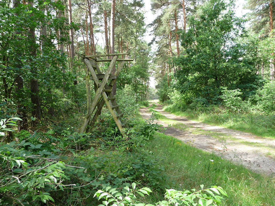 Bustro Zerbst
